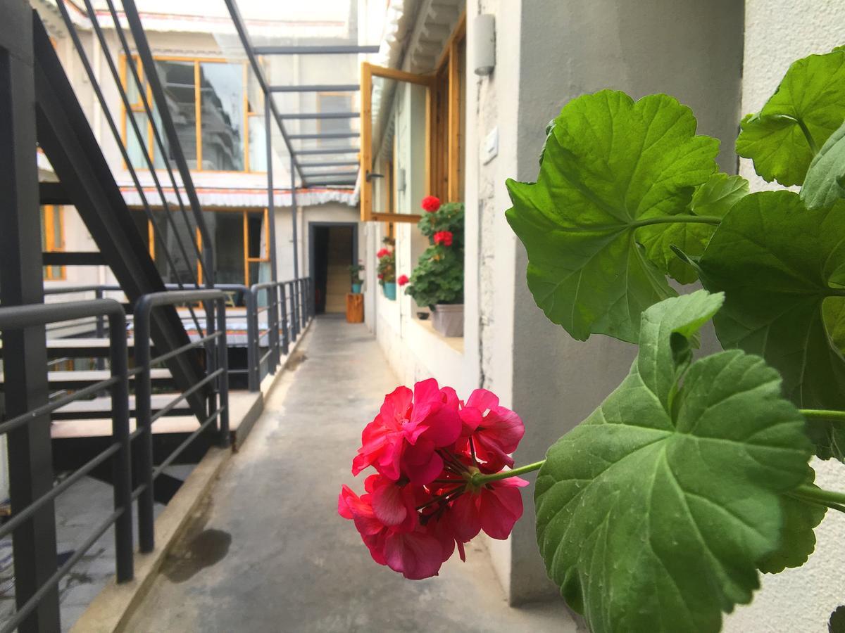 לאסה Fengma Feiyang Hostel מראה חיצוני תמונה